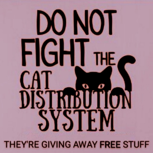 Get $10 off with referral code KATTAKITTY at signup - Picture 4 of 10